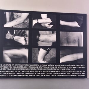 Information board for tattoos in I camp.
