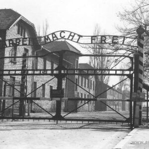 Photo taken after war.